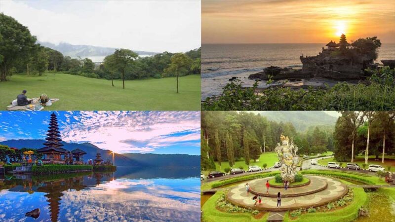 bali cheapest tours